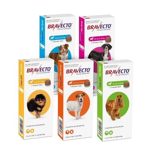 MSD 강아지용 브라벡토 츄어블 1정 Bravecto