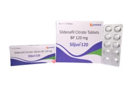실주브120mg