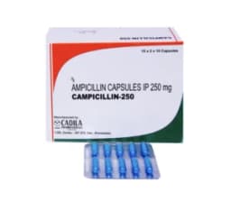 앰씰린캡슐 암피실린 Camplcillin 250mg