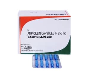 앰씰린캡슐 암피실린 Camplcillin