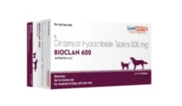 클린디마이신 BIOCLAN 600mg