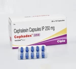세파메칠정 세팔렉신 Cephadex