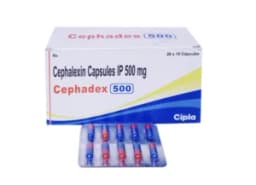 세파메칠정 세팔렉신 Cephadex 500mg