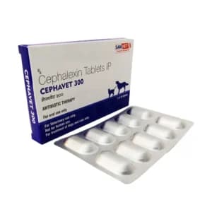 세파셉틴 세팔렉신 Cephavet