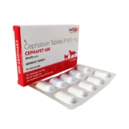 세파셉틴 세팔렉신 Cephavet 600mg