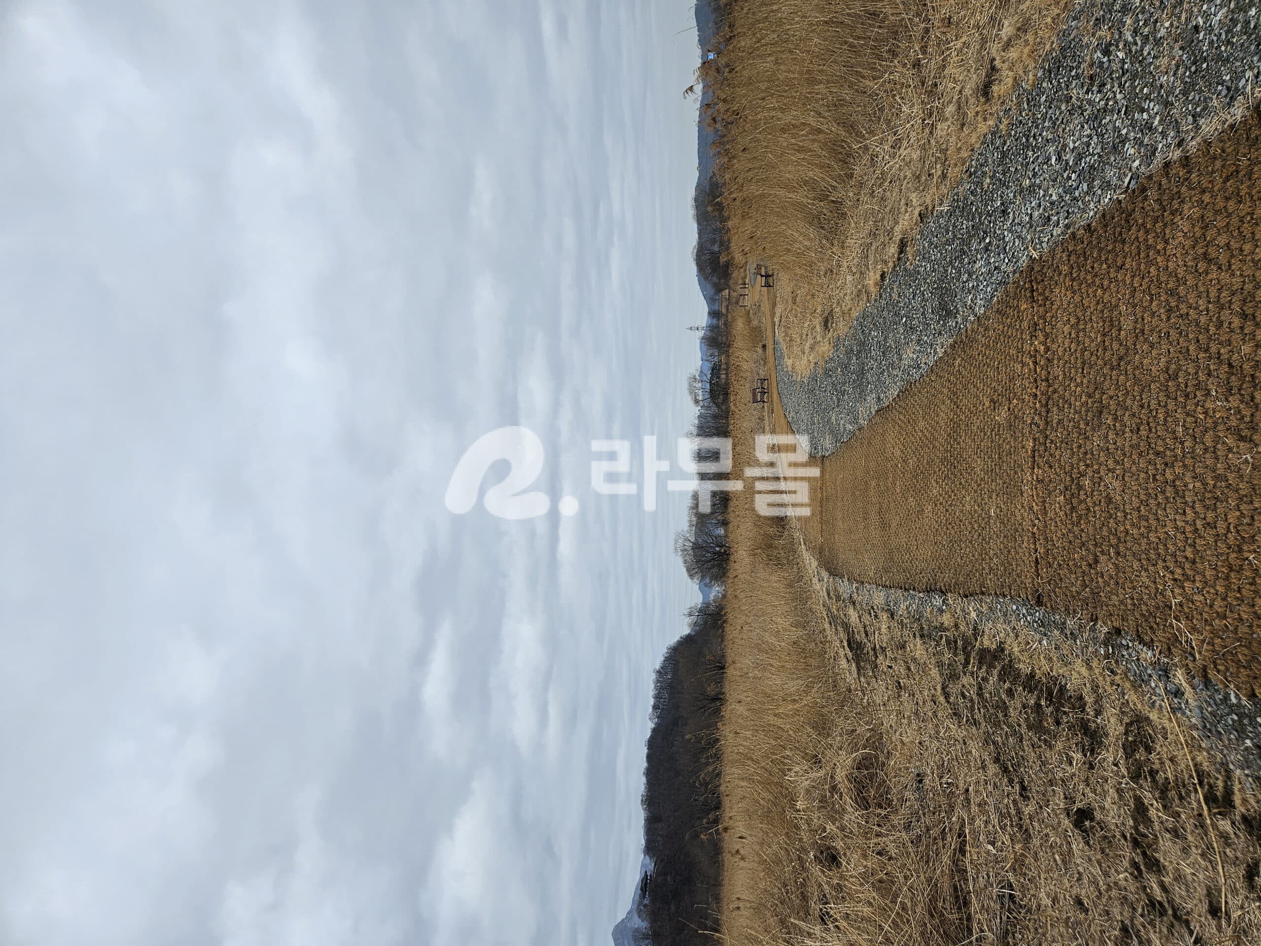 유데나필 주데나 Zudena 직구 후기
