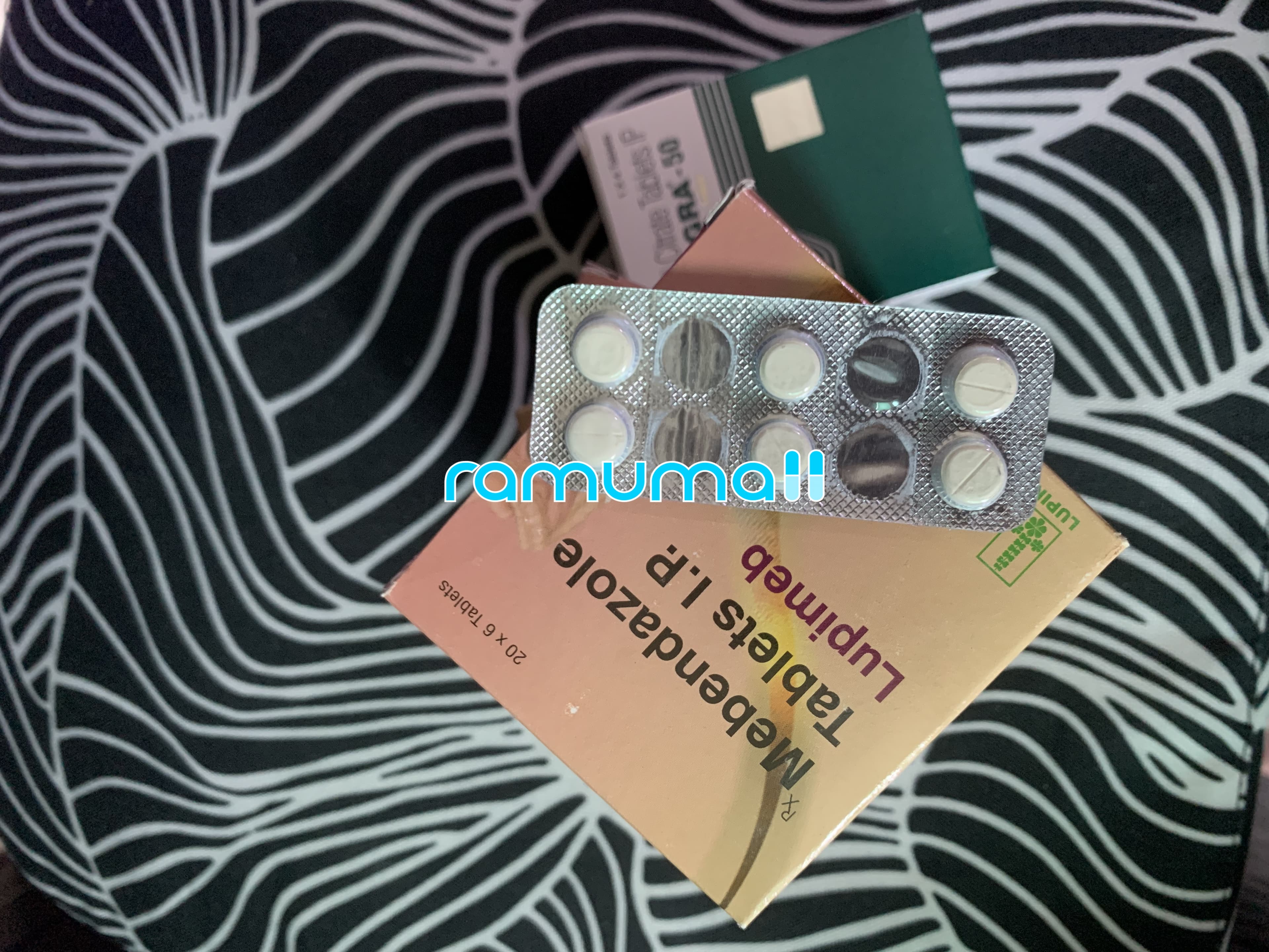 메벤다졸 루피멥 100mg 직구 후기