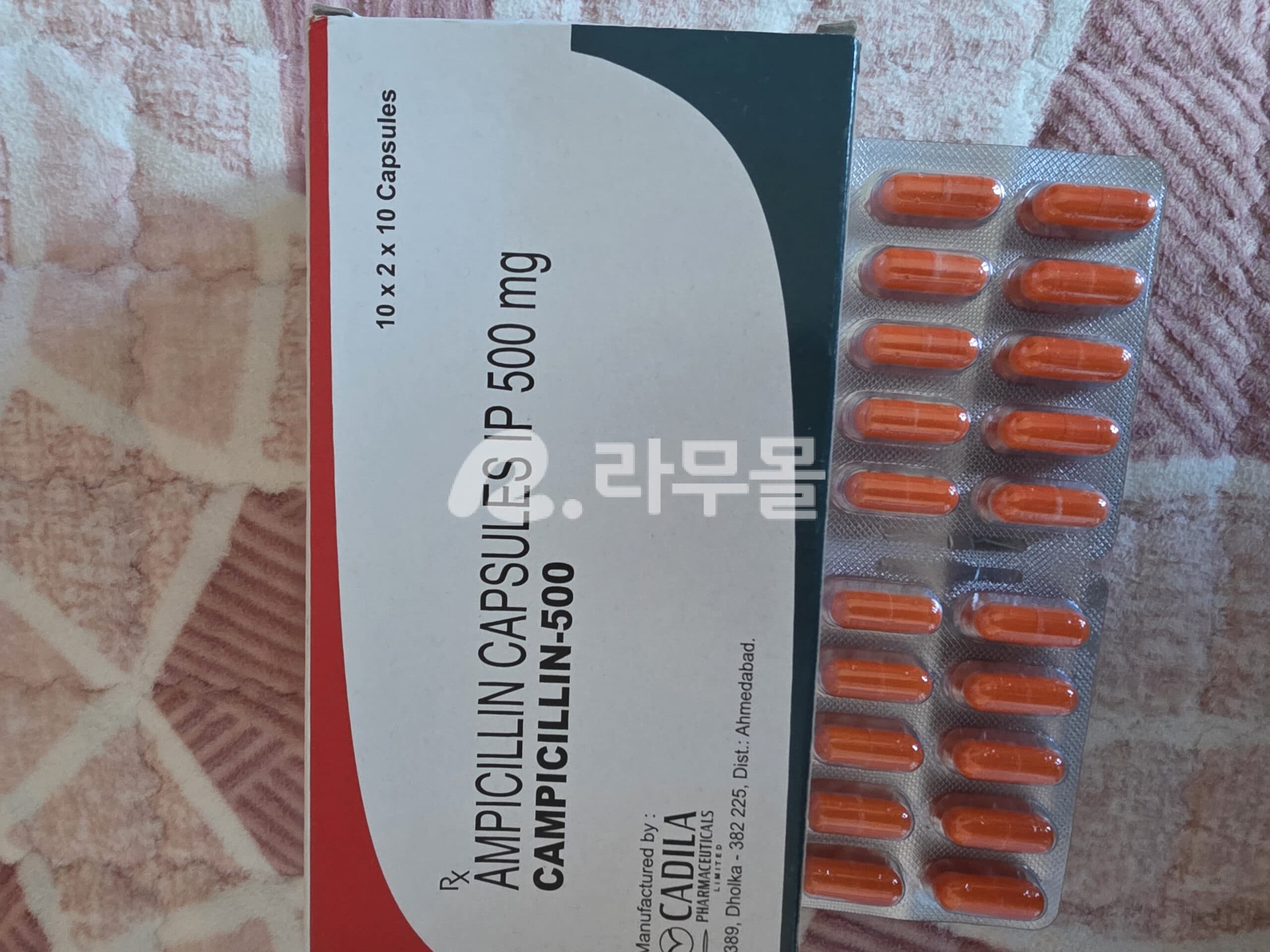 앰씰린캡슐 암피실린 Camplcillin 250mg 직구 후기