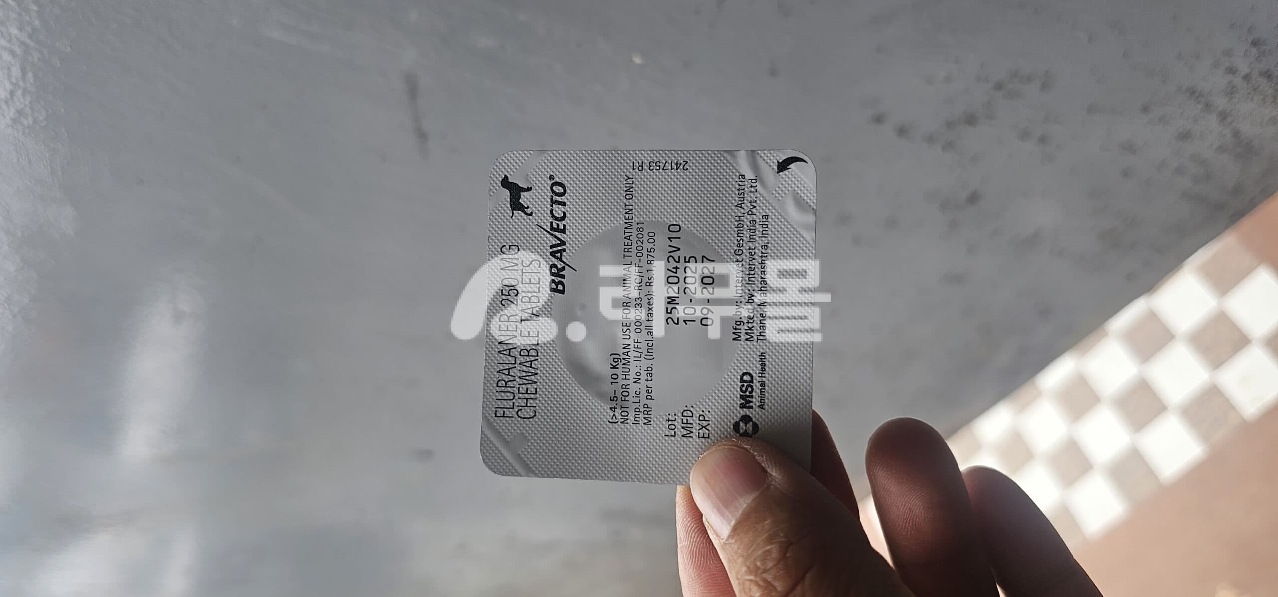 MSD 강아지용 브라벡토 츄어블 1정 Bravecto 직구 후기