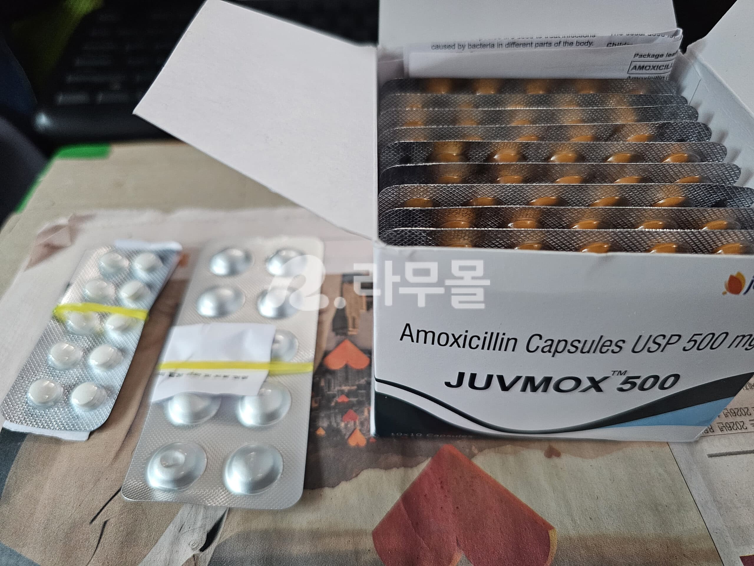 주브목스 JUVMOX 500mg 직구 후기