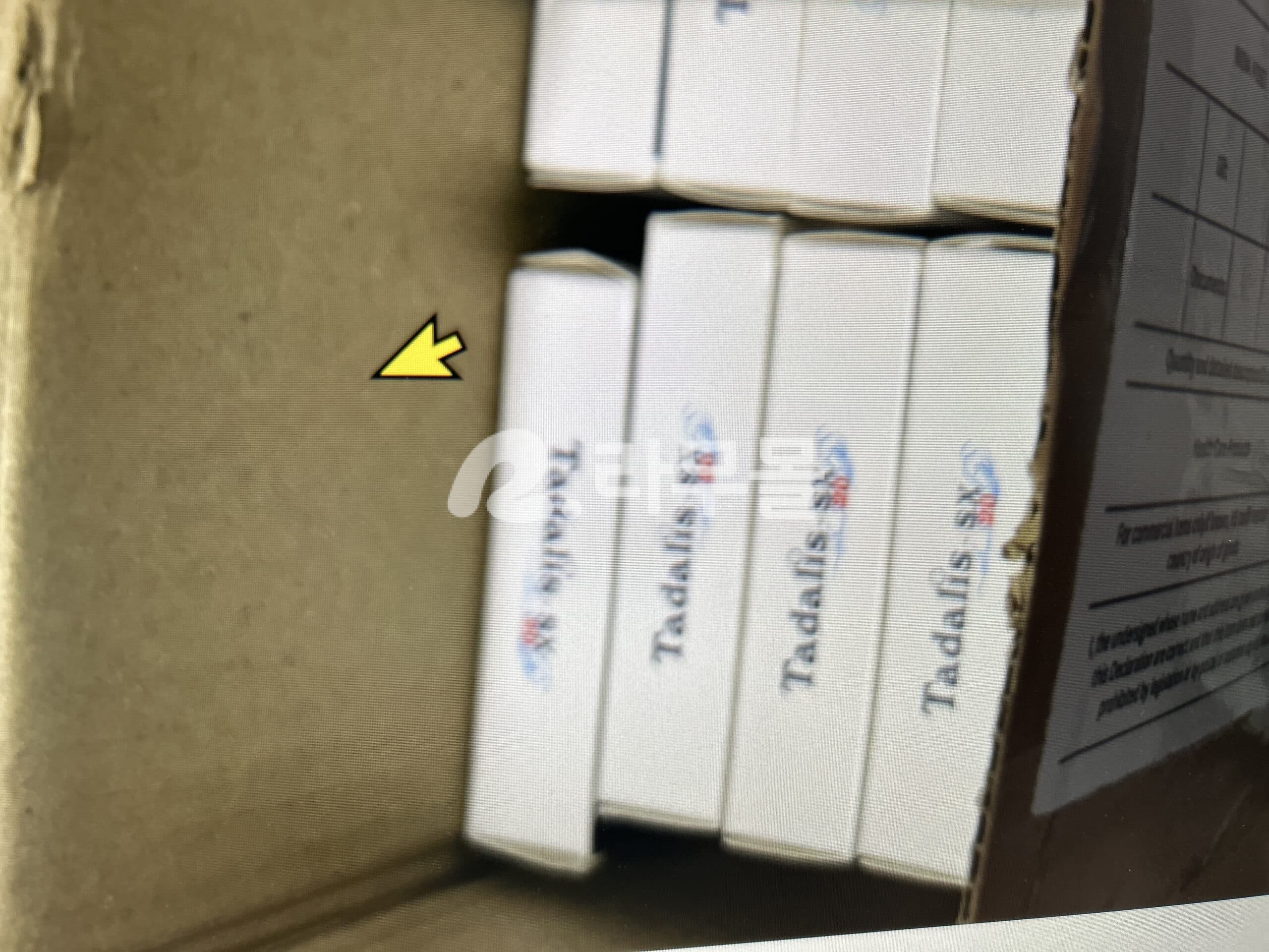 타달리스SX 20mg 직구 후기