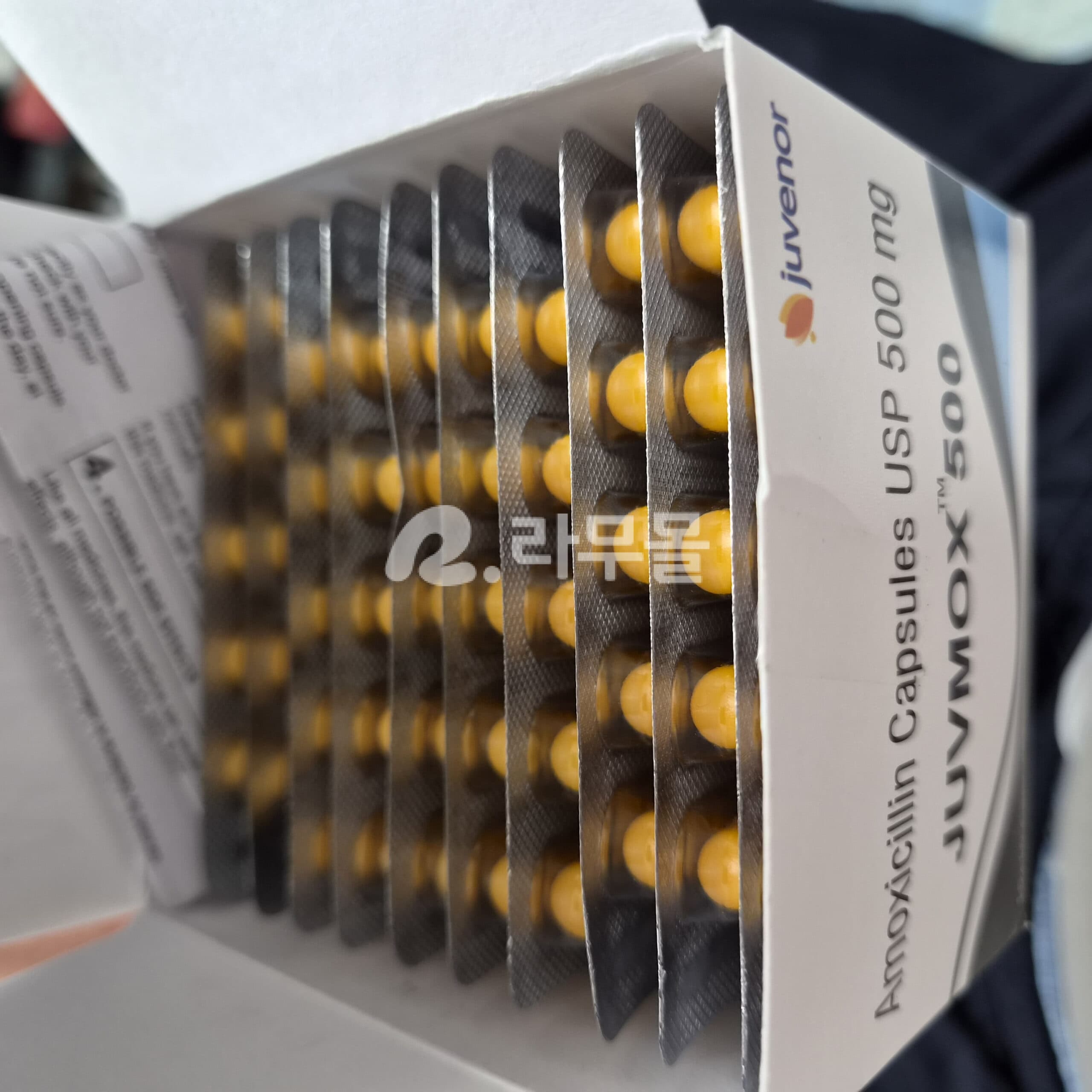 주브목스 JUVMOX 500mg 직구 후기