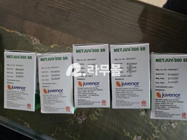 메트포르민 글리시파지 500mg metformin 직구 후기