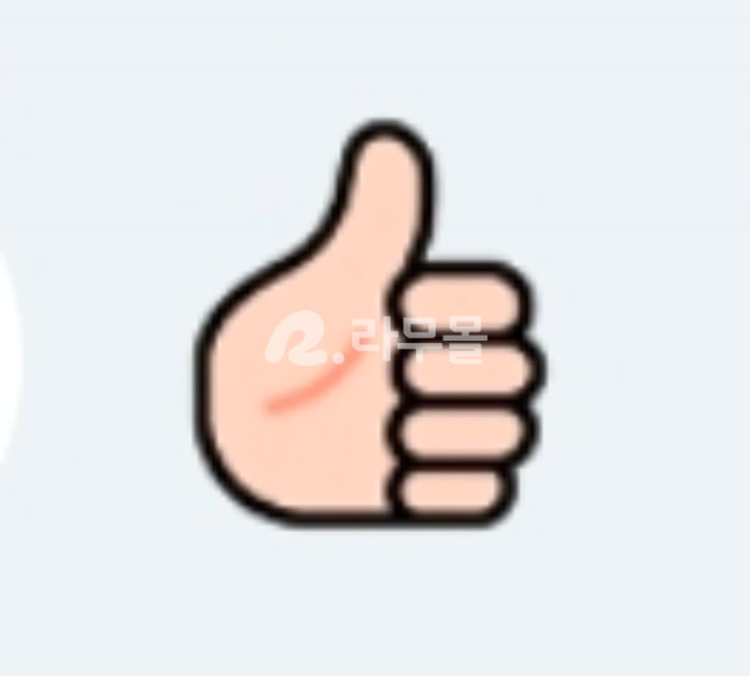 부프로피온 UNIDEP 300MG SR 직구 후기